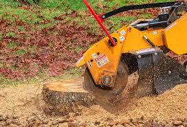 How Our Tree Care Process Works  in  Columbia, CA